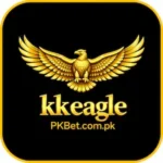 KK eagle icon