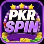 PKR SPIN icon