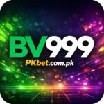 bv999 game image