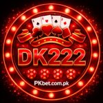 dk222 game feature image